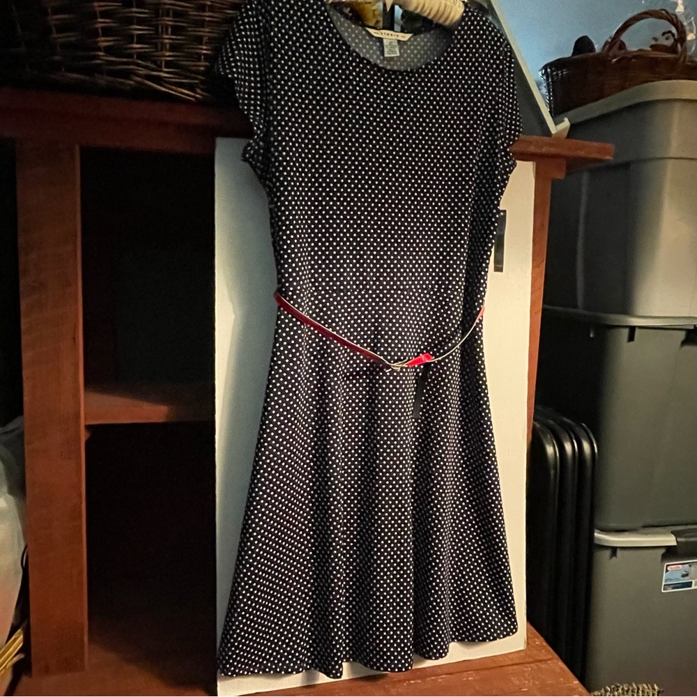 NWT AA Studio Polka Dot Dress with Belt, size 14